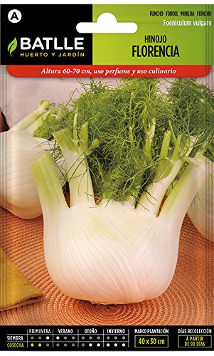 Semillas Hortícolas - Hinojo de Florencia - Batlle