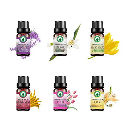 Set de aceites esenciales florales, aceites aromáticos con aromaterapia Top 6 aceites esenciales de grado superior terapéuticos 100% puros - Set de regalo 6 / 10ml