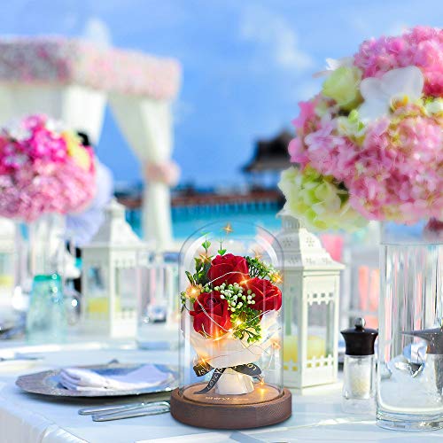 shirylzee La Bella y La Bestia Rosa Encantada Rosa Rojas con Luz de Hadas LED Base de Madera cúpula de Vidrio Regalo para día de San Valentín Día de la Madre de cumpleaños de Boda de Aniversario
