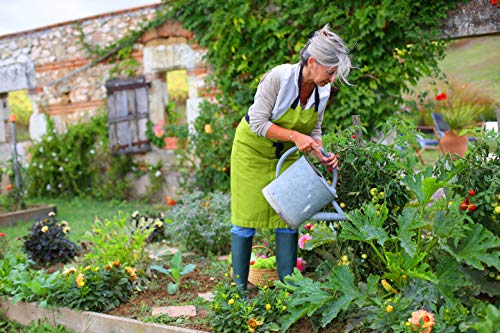 Solabiol Anticaracoles Natural RB, protección contra Caracoles y babosas, 500gr, Verde agua, 4.40x10.5x18 cm