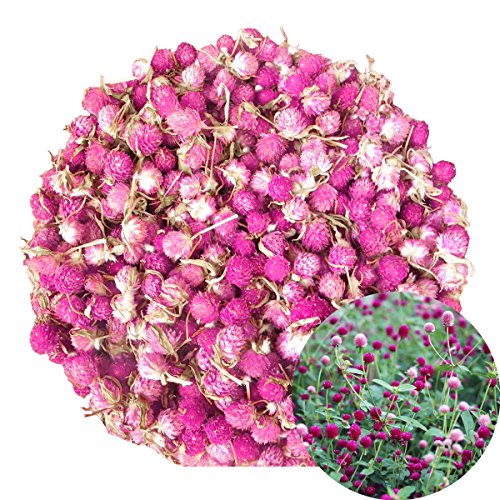 TooGet Flor Seca de Gomphrena Globosa, Flor de Amaranto De Globo Natural Al Por Mayor Mejor Para Bricolaje de Flores, Bolsitas, Decoración de Banquetes de Boda, Popurrí, Todo Tipo de Artesanías - 115g