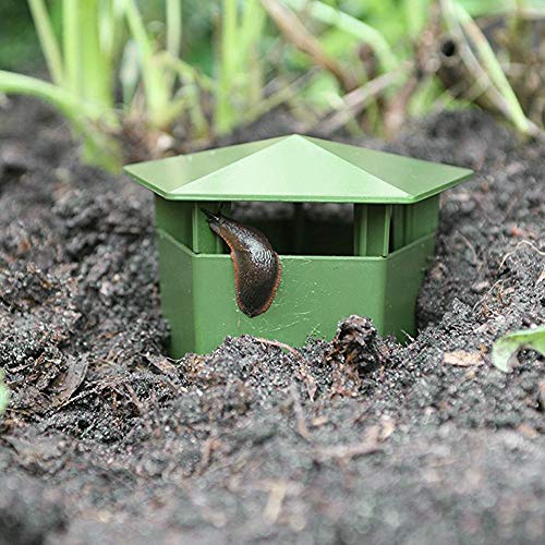 Trampa de caracol de 2 piezas, trampa de caracol de plástico, ecológico para atrapar babosas, colector de caracoles, herramienta de jardín, jaula de casa plana, caja de sanguijuela, protector de granj
