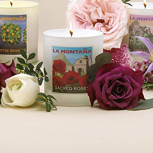 Vela aromática de lujo Sagradas Roses. Rosas ricas y claustros oscuros - Notas de rosa de damasco, narciso, geranio y lavanda, con sándalo, bergamota y manzanilla. 220 g - 40 horas de combustión.