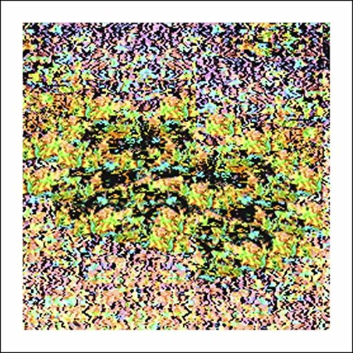 Viaje en Globo Desde la Terraza