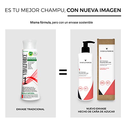 Vidalforce PACK Champu 1 + Mascarilla BIO De Argán, Karite, Jojoba De Origen Ecologico Prensado En Frio. 100% Organico Champu (Indicado Para Caída Ocasional O Primeros Signos)