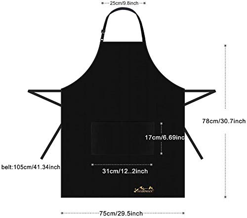 Viedouce 2 Piezas Delantales Impermeables Ajustables del Cocinero con Bolsillo Cocina Delantale de Cocina para Mujeres Hombres,Delantal Chefs Cocina para Cocinar/Hornear (Negro)