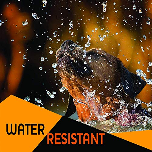 Viridian Pycnogenol 50mg , 30 Veg tapas