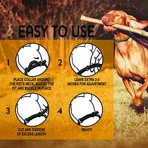 Viridian Pycnogenol 50mg , 30 Veg tapas