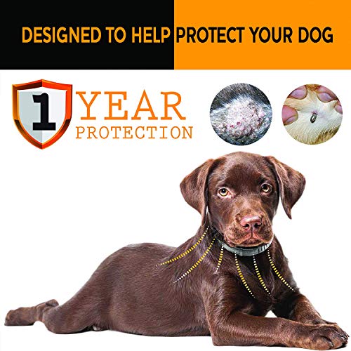 Viridian Pycnogenol 50mg , 30 Veg tapas