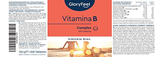 Vitamina B Complex - 200 tabletas veganas de vitamina B - Dosis altas de 8 Formas de Vitaminas B: B1 B2 B3 B5 B6 B7 (biotina) B9 (acido folico) y B12 - Apoyo inmunologico