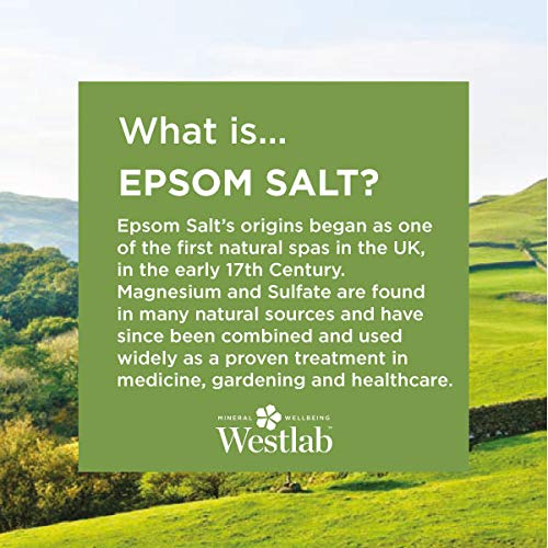 Westlab Epsom Sale (2 x 5kg)