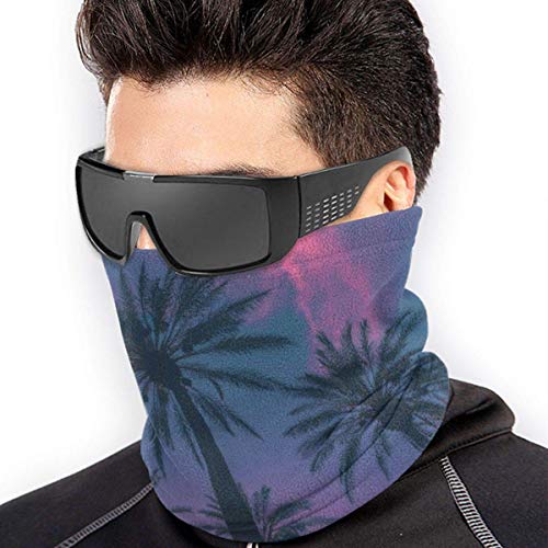 WlQshop Calentadores de Cuello Palm Tree And Sky Neck Gaiter Mascarilla Bufandas Headband For Men Women Sun UV Wind Dust Protection Skiing Riding Running