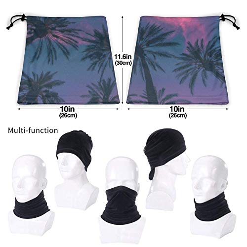WlQshop Calentadores de Cuello Palm Tree And Sky Neck Gaiter Mascarilla Bufandas Headband For Men Women Sun UV Wind Dust Protection Skiing Riding Running