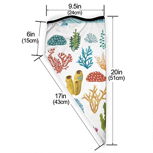 XaMiner Coloridos corales y Algas Flora y Fauna submarina A Prueba de Viento Calentador de Cuello Deportivo Pasamontañas Invierno Multifunción térmica