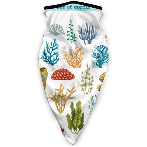 XaMiner Coloridos corales y Algas Flora y Fauna submarina A Prueba de Viento Calentador de Cuello Deportivo Pasamontañas Invierno Multifunción térmica