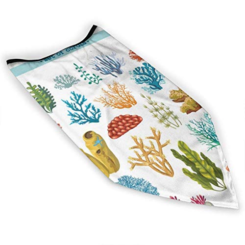 XaMiner Coloridos corales y Algas Flora y Fauna submarina A Prueba de Viento Calentador de Cuello Deportivo Pasamontañas Invierno Multifunción térmica