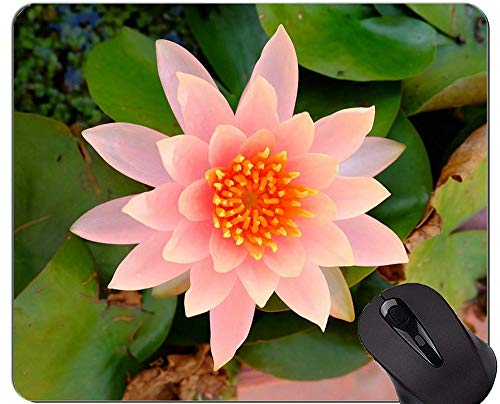 Yanteng Cojines de ratón espirituales sagrados de Las Ilustraciones de la Flor de Lotus modificados para requisitos particulares - Cojines de ratón Rosados de Lotus