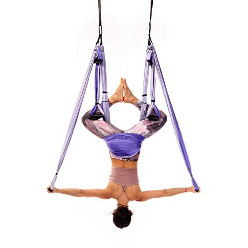 YOGABODY Yoga Trapeze (Oficial) con DVD, Color Lila - Yoga Aéreo