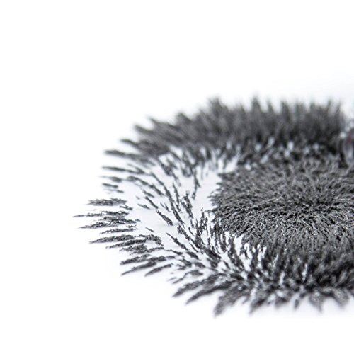 100 g Polvo de hierro de calidad superior [Paquete resellable incluido] - polvo de hierro para las ciencias y la enseñanza - Cree una pared magnética mezclando con pintura