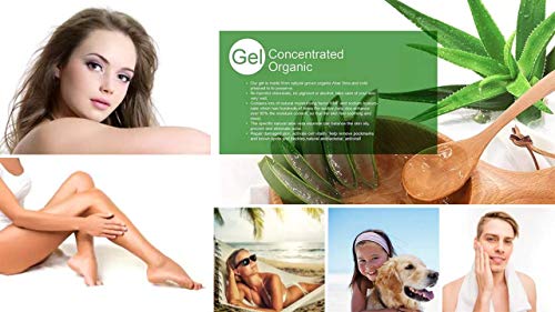 100% Organic and Vegan Aloe Vera Gel for Dry, sunburned, and irritated Skin and Hair - De Premium Quality - -by Secret Essentials