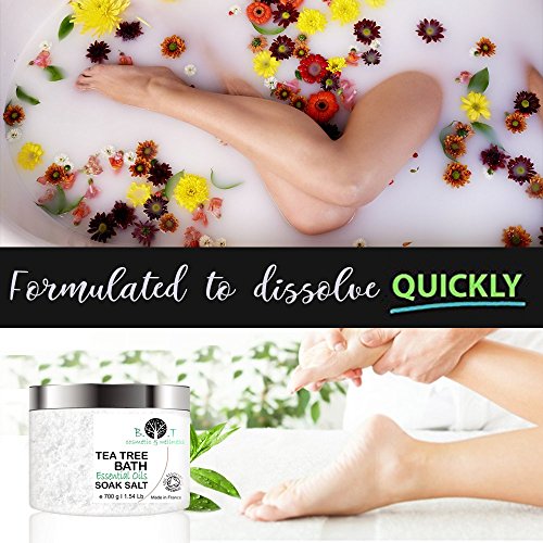 1000 g Sales de Baño y Pies con Arbol de Té, Aceites Esenciales, Sales Epsom y Sales del Mar Muerto