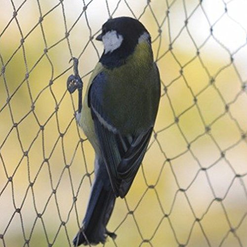 12x4m Malla Antipájaros Red Antipájaros Negro Red de protección Contra Pájaros Malla Protección para Frutas Cultivos Plantas árboles Viñedos Contra Aves