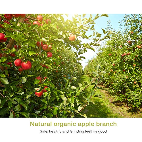 2 escaleras de madera para masticar puentes para esconder casas, vallas flexibles escaleras para hámster, reptiles, lagarto, tortuga, erizo, juguete para masticar animales pequeños