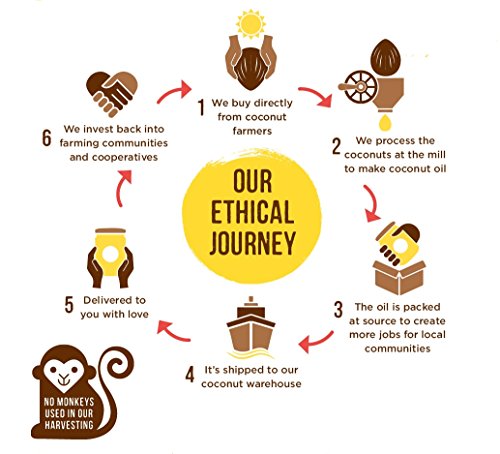 250g Coconut Merchant Leche de coco en polvo Alternativa de leche en polvo vegana | para curry, sopas, salsas, batidos y bebidas | Vegano | De origen ético | Versátil, bébalo, agréguelo, revuélvalo