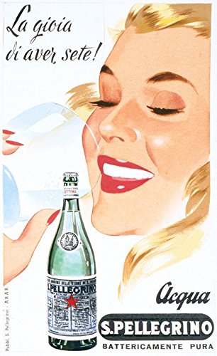 [2CS] Sanpellegrino (San Pellegrino) (500mlX24 presente) cajas X2 [mercanc?as importadas regulares]