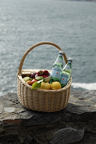 [2CS] Sanpellegrino (San Pellegrino) (500mlX24 presente) cajas X2 [mercanc?as importadas regulares]