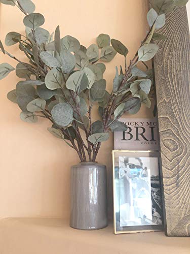 3 hojas de eucalipto Amkun de plata artificial en rama, de color verde, 63,5 cm de alto, para decoración de fiestas, casas, bodas