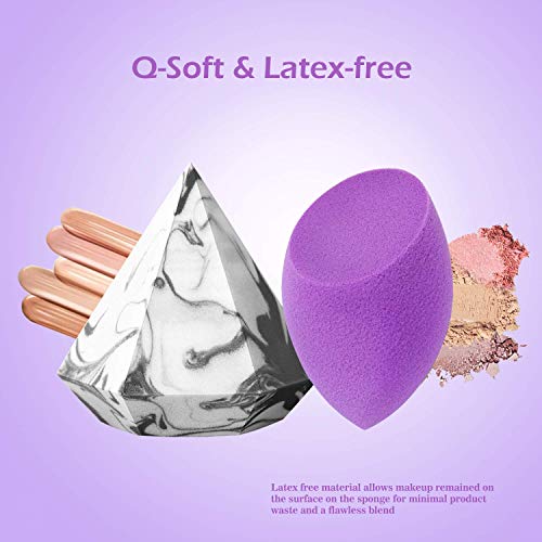 4-EN-1 Beauty Sponge Blender Sets Estuches de maquillaje Estuche de viaje Blender Defender Estuche protector con 2pcs Foundation Blending Sponge