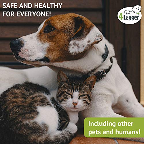 4-Legger certificada champú para Perros orgánica