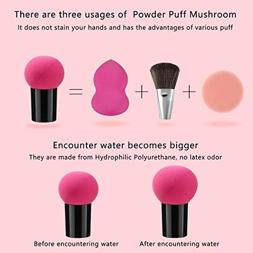 4 Piezas Esponjas CosméTicas con Estuche Set ChampióN Borla para Empolvarse Hongo Esponja de Belleza Licuadora Cara Esponjas de Maquillaje