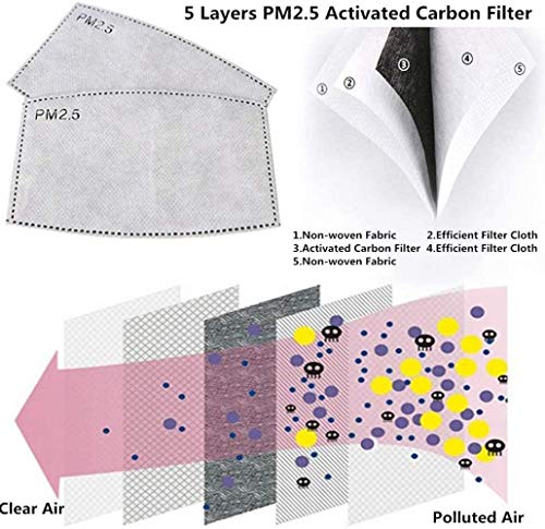 5 capas 50 filtros de carbón activado PM2.5