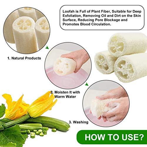 6 Piezas Loofah Natural, Esponjas de Luffa Nature Exfoliante Cuerpo Spa Loofah Scrubber para Baño y Cuidado del espalda, 10cm de Orgánico Esponja Vegetal Lufa para Lavado de Ducha y Limpieza de Cocina