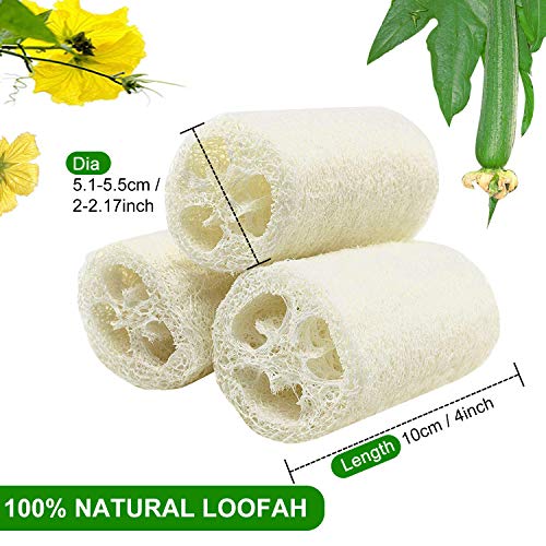 6 Piezas Loofah Natural, Esponjas de Luffa Nature Exfoliante Cuerpo Spa Loofah Scrubber para Baño y Cuidado del espalda, 10cm de Orgánico Esponja Vegetal Lufa para Lavado de Ducha y Limpieza de Cocina