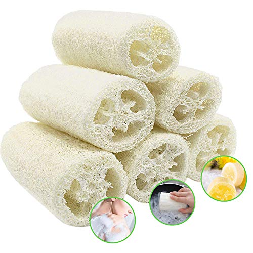 6 Piezas Loofah Natural, Esponjas de Luffa Nature Exfoliante Cuerpo Spa Loofah Scrubber para Baño y Cuidado del espalda, 10cm de Orgánico Esponja Vegetal Lufa para Lavado de Ducha y Limpieza de Cocina