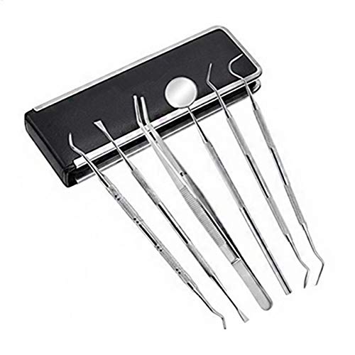 6 Unids/set Herramientas Dentales Acero Inoxidable Explorador de Higiene Pinzas Dientes Kit de Limpieza con Estuche Sonda Espejo Escalador Espejo