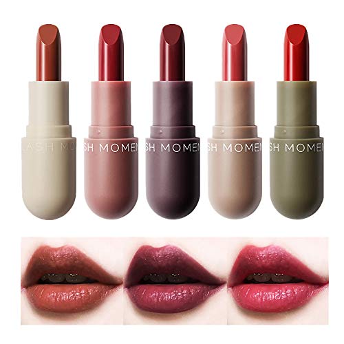 99AMZ 5 Pcs Barra de Labios Mate Set Mini Lápiz labial cápsula Lip Bar Duradero Pintalabios Hidratante Nutritiva Fijas Bálsamo Granate Rojo Set de Cosméticos Resistente al agua Brillos labiales (#1)