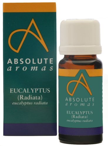 Absolute Aromas Aceite Esencial Eucalipto Radiata 10ml - 100% puro, natural, sin diluir, vegano y sin crueldad