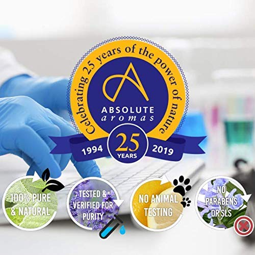 Absolute Aromas Aceite Esencial Francés de Lavanda 100ml - 100% Puro, Natural, Sin Diluir y Libre de Crueldad - Para uso en Difusores y Mezclas de Aromaterapia (30ml)