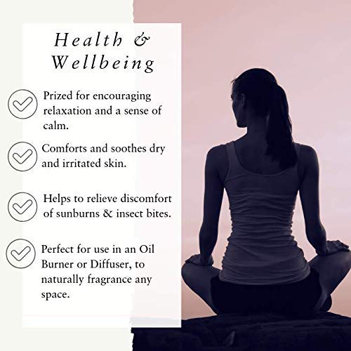 Absolute Aromas Aceite Esencial Francés de Lavanda 100ml - 100% Puro, Natural, Sin Diluir y Libre de Crueldad - Para uso en Difusores y Mezclas de Aromaterapia (30ml)