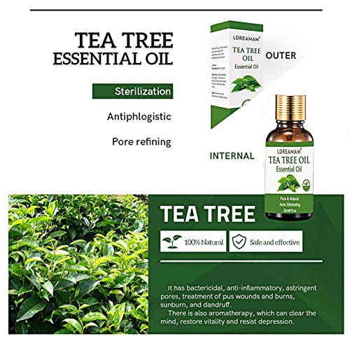 Aceite esencial de árbol de té, Tea Tree Oil,Aceite Esencial de Arbol de Te, Alivia las irritaciones comunes de la piel,la piel seca y agrietada,las cutículas y las espinillas,anti-acné