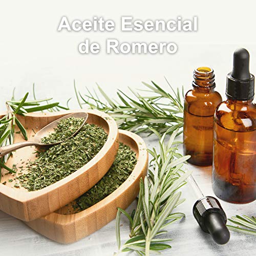 Aceite Esencial de Romero Puro 30 ml, 100% Natural y Bio | Antiestrés Alivia Dolores Musculares Conjestión Nasal Anticaspa | Ideal para Humidificador Ultrasónico Aromaterapia | Fabricado en Francia