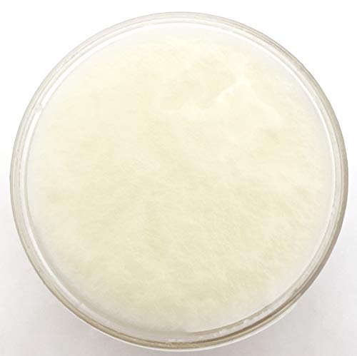 ACEITE NUTRIENTE para el CRECIMIENTO del CABELLO - 100 g - de POO FREE. Aceites de Coco, Ricino, Argán, Moringa, Romero, Albahaca y hojas de Ho. Para el crecimiento del cabello y reparar y nutrir