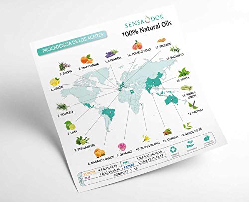 Aceites Esenciales 100% Natural Oils Sensaodor Pack TOP Árbol de té, Eucalipto, Lavanda, Hierba limón, Menta y Naranja dulce.