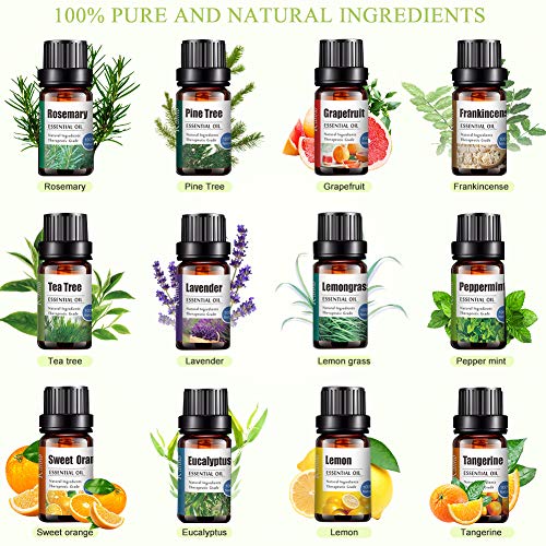 Aceites Esenciales, Essential Oils Set, 100% Natural Puro Aromaterapia Aceite Aromático, para Humidificador, Difusor Aroma, SPA, Masajes, Relajarse(12 x 10 ml)