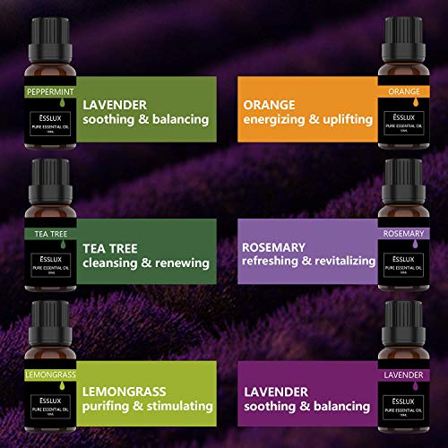 Aceites Esenciales,ESSLUX Humidificador Perfumada Oils Top 6 Set de Regalo Perfecto Aceites Esenciales para Humidificador y Difusor Aroma, SPA, Masajes, relajarse, Set Essential Oils
