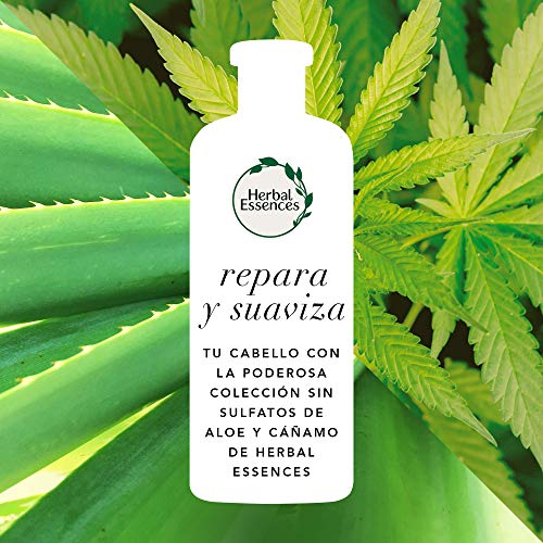Acondicionador Herbal Essences Bio: Renew sin Sulfatos con Aloe Intenso Y Hemp, en Colaboración con el Royal Botanic Gardens de KEW